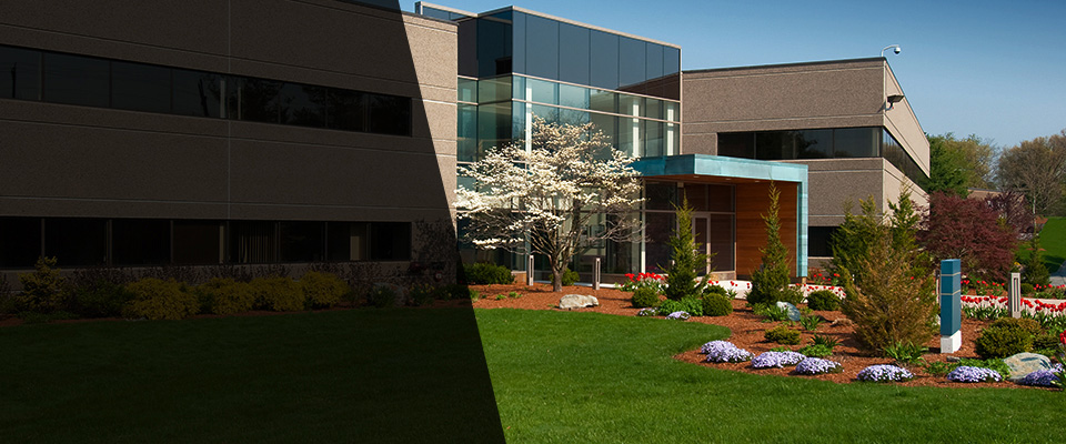 Wellington Landscapers